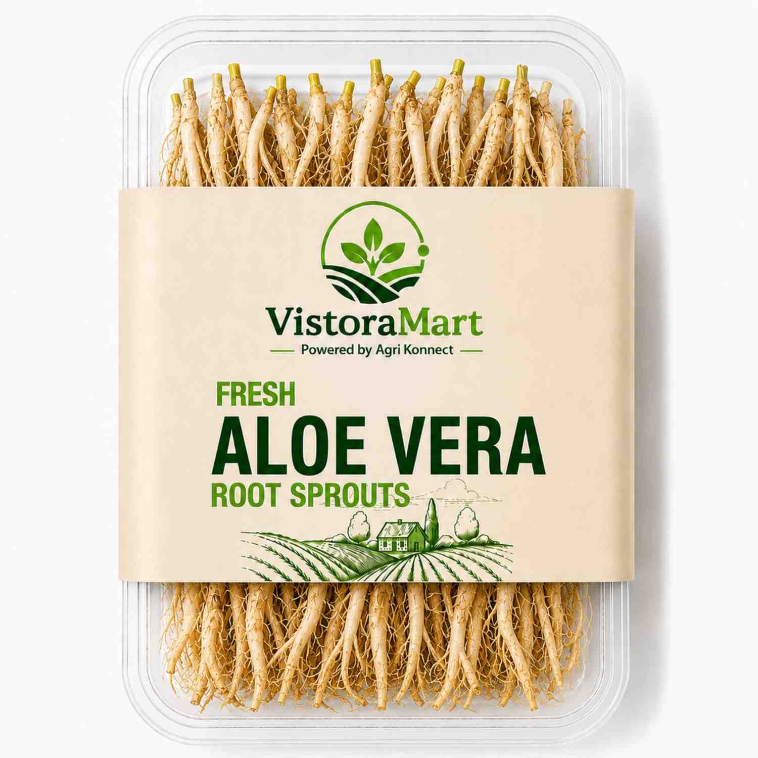 Vistoramart offers Fresh Aloe Vera Root Sprouts sourced from healthy cultivation environments and selected for quality and consistency. Suitable for botanical processing, herbal product manufacturing, cosmetic applications, and agricultural use, the product is supplied in hygienic packaging for commercial requirements.